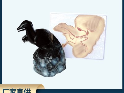 始祖鸟化石及复原模型 生物科教仪器 小学初高中生物科学批发