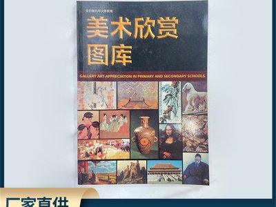 厂家直供中小学美术欣赏图库 美术欣赏图库 教学仪器美术教科书